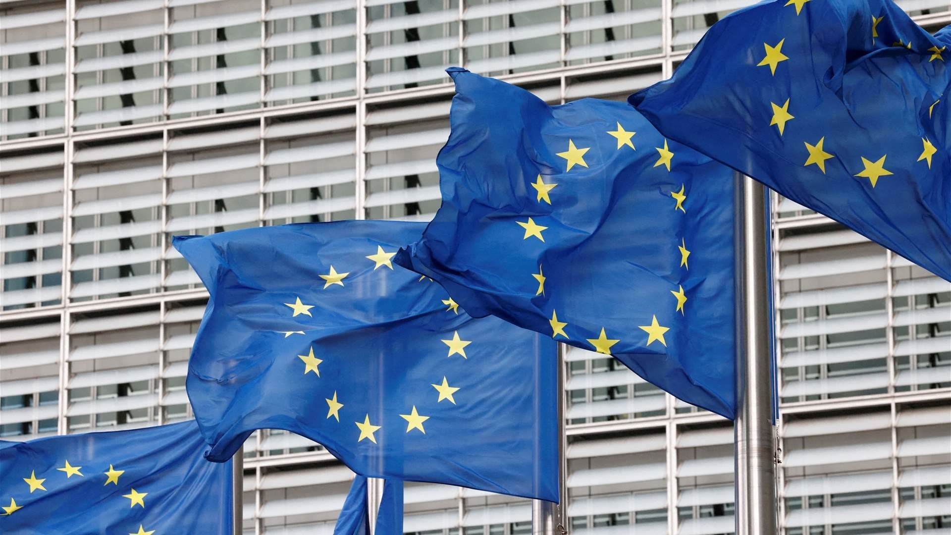 EU Institutions, Bodies &amp; Agencies